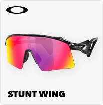 Stunt Wing