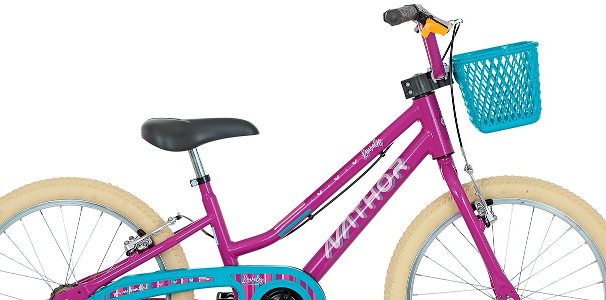 Bicicleta Caloi Barbie - Aro 20 - Freio V-Brake - Câmbio Traseiro Caloi -  Feminina - Infantil