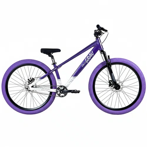 Bicicleta Colli Grau Sport 26 2026 Roxo