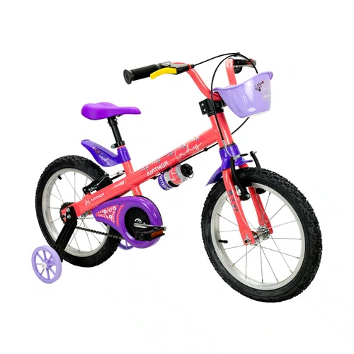 Bicicleta Infantil Nathor Lady Aro 16