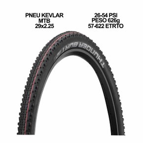 Pneu de Bicicleta Schwalbe Thunder Burt 29x2.25 Tubeless - Bike Point