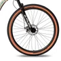 Bicicleta Colli Munique 29 Disc Shimano Retrô