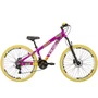Bicicleta do Grau Vikingx Tuff X-25 Hidráulica Shimano