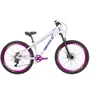 Bicicleta do Grau Gios FRX Evo Hidráulica Shimano Suspensão Ar