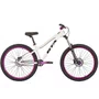 Bicicleta do Grau GTA Gravity Brutus Hidráulica Cubo Barulhento