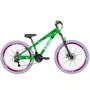 Bicicleta do Grau Vikingx Tuff X-25 Disc Shimano