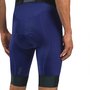 Bretelle de Ciclismo Free Force Training Azul