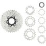 Cassete de Bicicleta Shimano 105 CS-R7101 11-34 12 vel