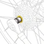 Extrator Para Cassete Topeak