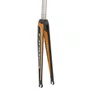 Garfo de Bicicleta Orbea Road Carbon