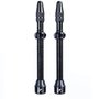 Kit Válvulas Absolute High Flow Tubeless 60mm 2 Unidades
