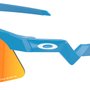Óculos de Ciclismo Oakley Juvenil Resistor Sweep Prizm Ruby