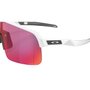 Óculos de Ciclismo Oakley Sutro Lite Prizm Road