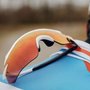 Oculos de Ciclismo Shimano Equinox4 Ridescape Road 2 Lentes