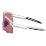 Óculos de Ciclismo Shimano Equinox5 Ridescape 2 lentes