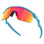 Óculos de Ciclismo Oakley Resistor Juvenil Prizm Ruby