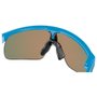 Óculos de Ciclismo Oakley Resistor Juvenil Prizm Ruby
