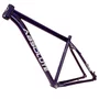 Quadro de Bicicleta Absolute Nero 5 Roxo