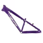 Quadro de Bicicleta Gios FRX Roxo Quadro de Bicicleta Gios FRX Roxo