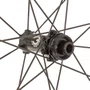 Roda de Bicicleta Elitewheels Avant 50 Disc Carbon XDR