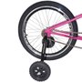 Rodinha Lateral para Bicicleta Altmayer AL343 aro 16 a 20