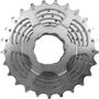Rolo de Treino Acer Xplova Noza One + Cassete de Bicicleta Shimano CS-HG500 11-25 10 vel