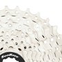 Rolo de Treino Acer Xplova Noza One Interativo + Cassete de Bicicleta Sunrace MS1 Padrão Shimano HG 11-36 10 Vel
