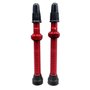 Válvula de Bicicleta Dvorak Tubeless 55mm 2 Unidades